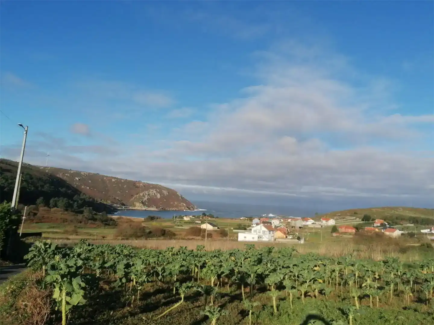 Vista exterior de Residencial en venda en Malpica de Bergantiños