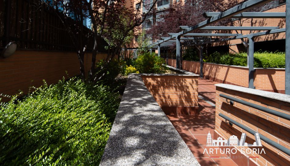 Piso de alquiler en Calle Bausá, Costillares - Imagen 2