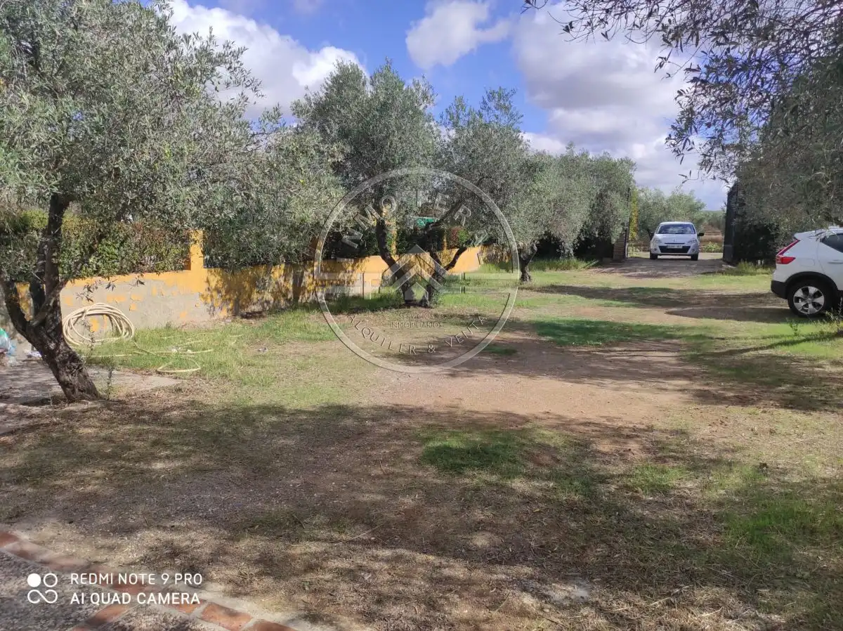 Villa avec piscine à vendre à Santaella, imagen 18