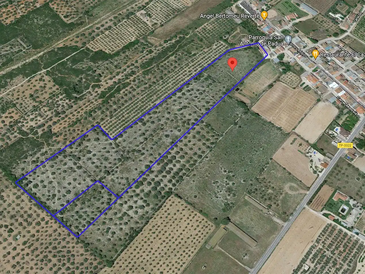 Casa rústica en venta en Masets, imagen 16