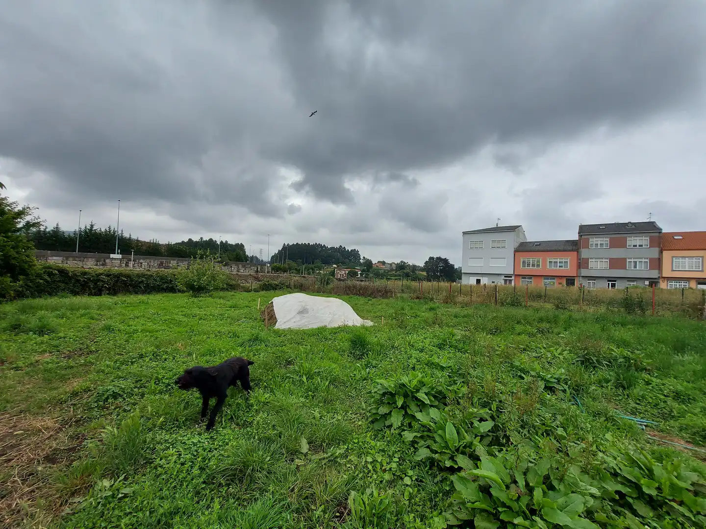 Houses for sale in Narón  with Private garden