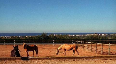 Foto 3 de Finca rústica en venda a La Franquesa - Oasis Park, Tarragona