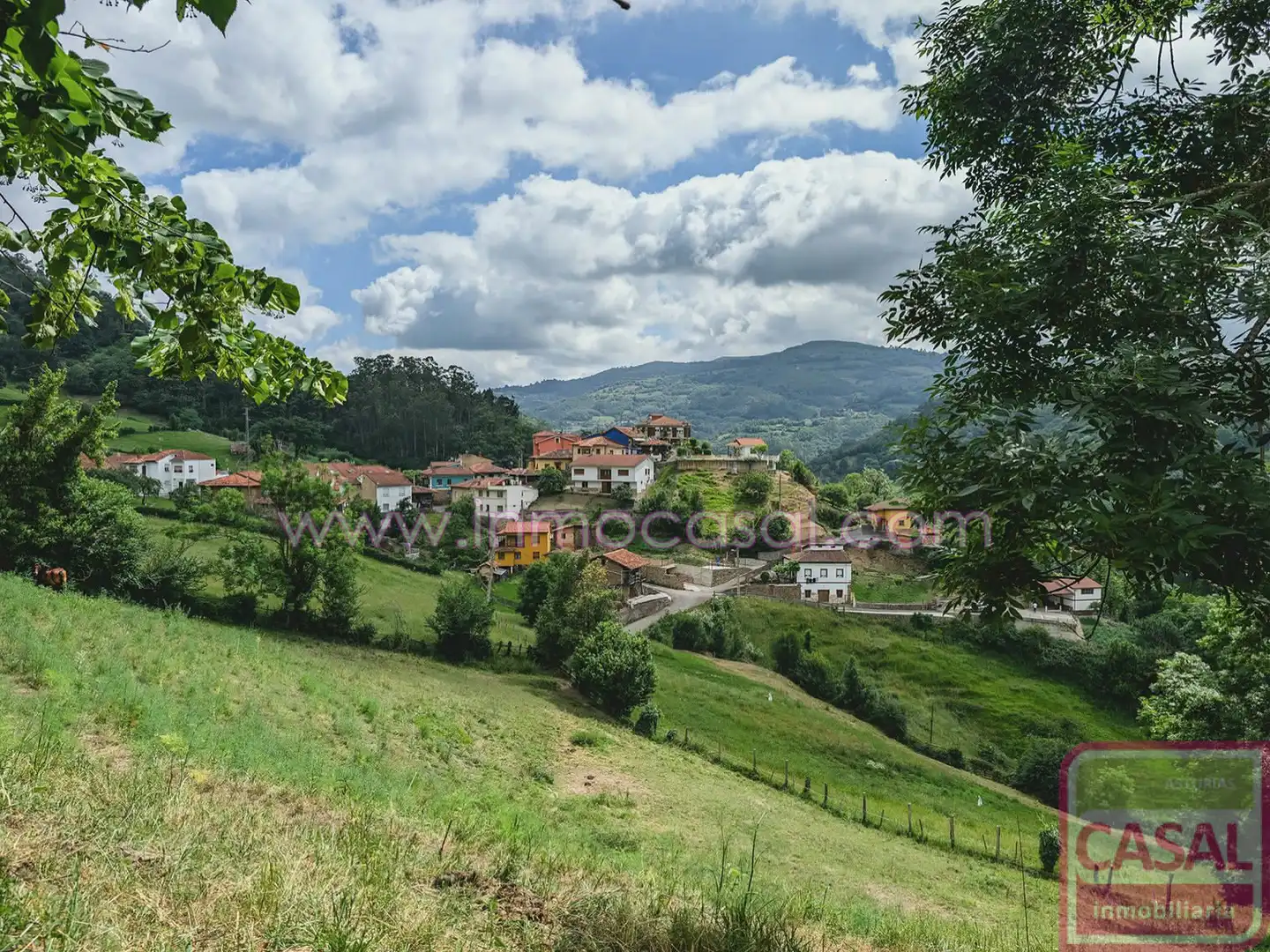 Exterior view of Houses for sale in Mieres (Asturias)  with Terrace and Storage room
