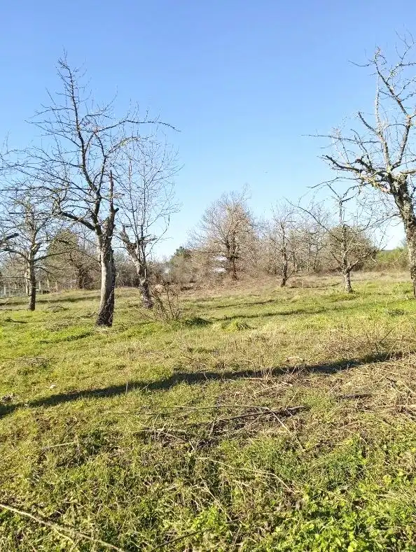 Terreni e lotti in vendita a Cabañas Raras, imagen 3