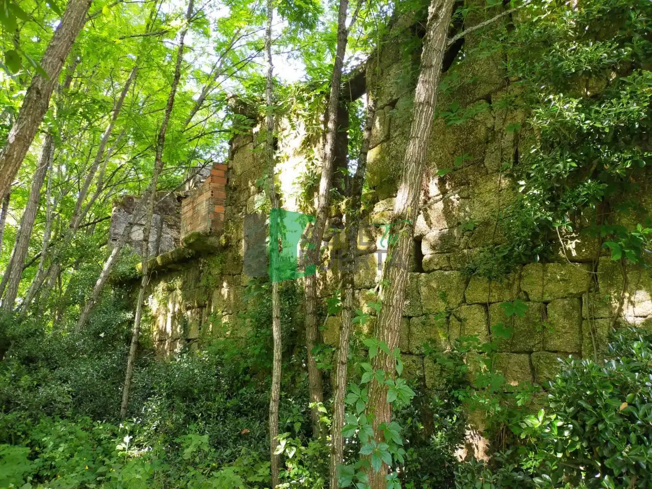 Haus mit Garten zum Verkauf in Leiro, imagen 8