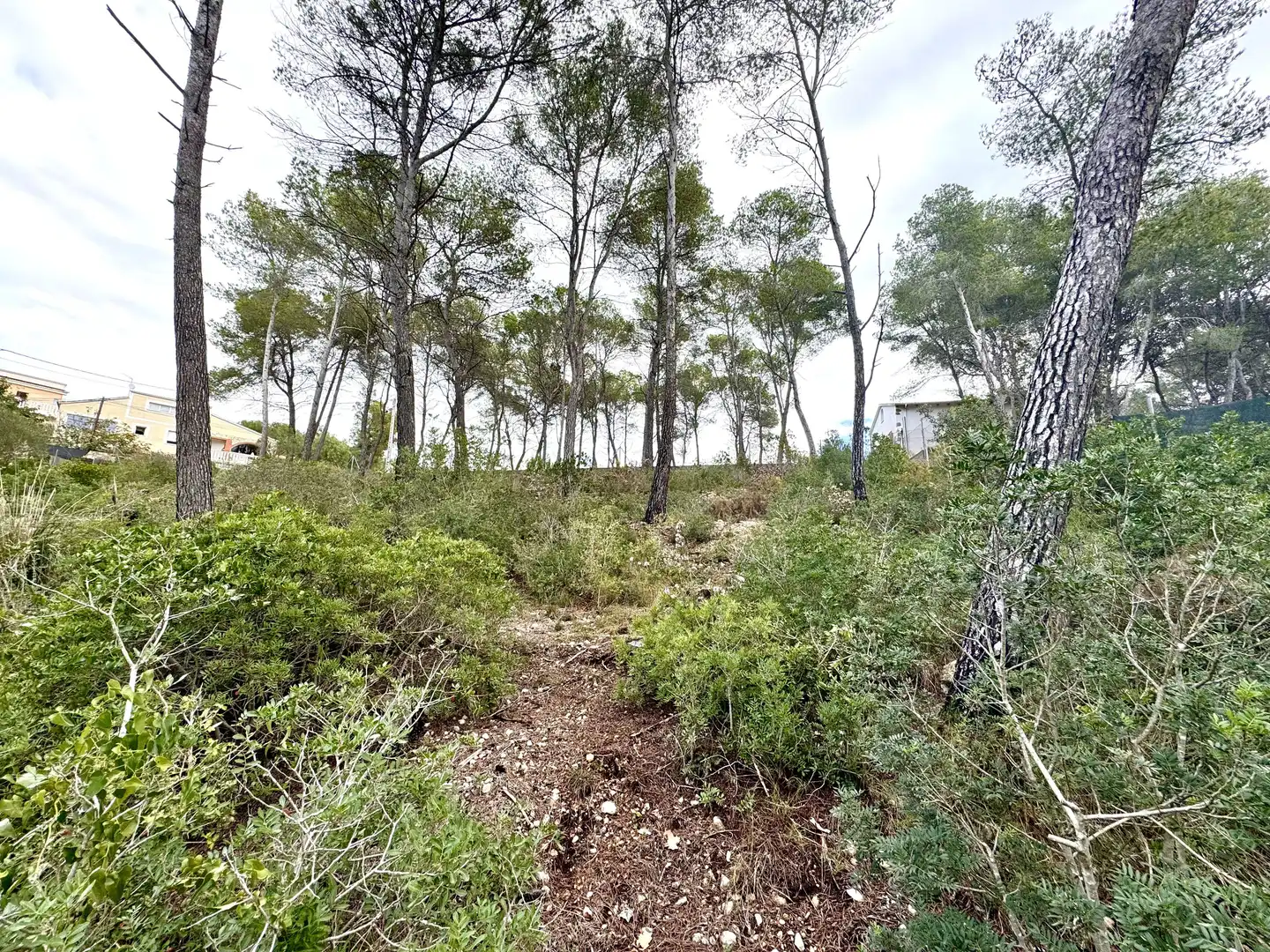 Grundstücke und Bauplätze zum Verkauf in Olivella, imagen 15