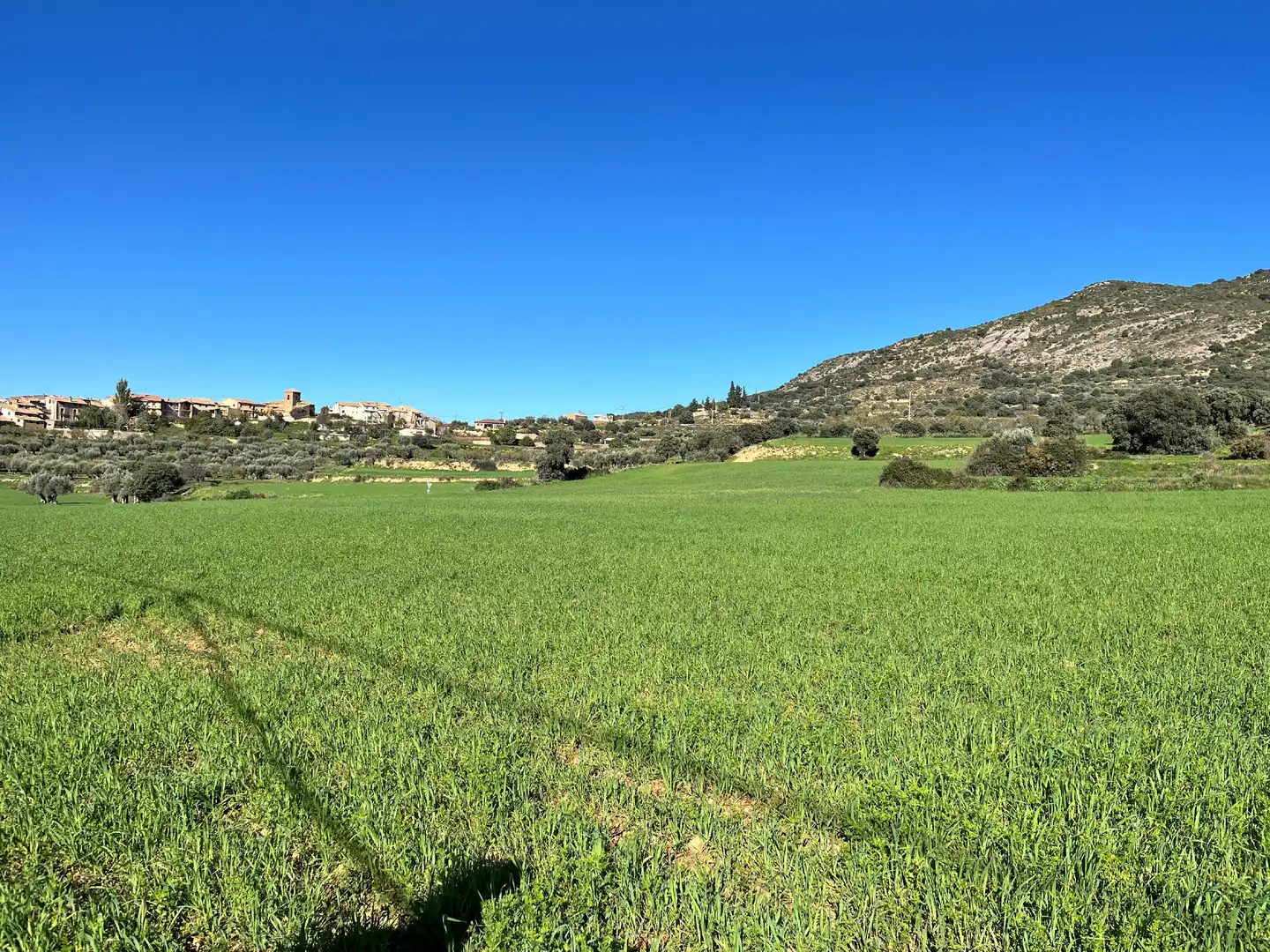 Terreni e lotti in vendita a Alquézar, imagen 2