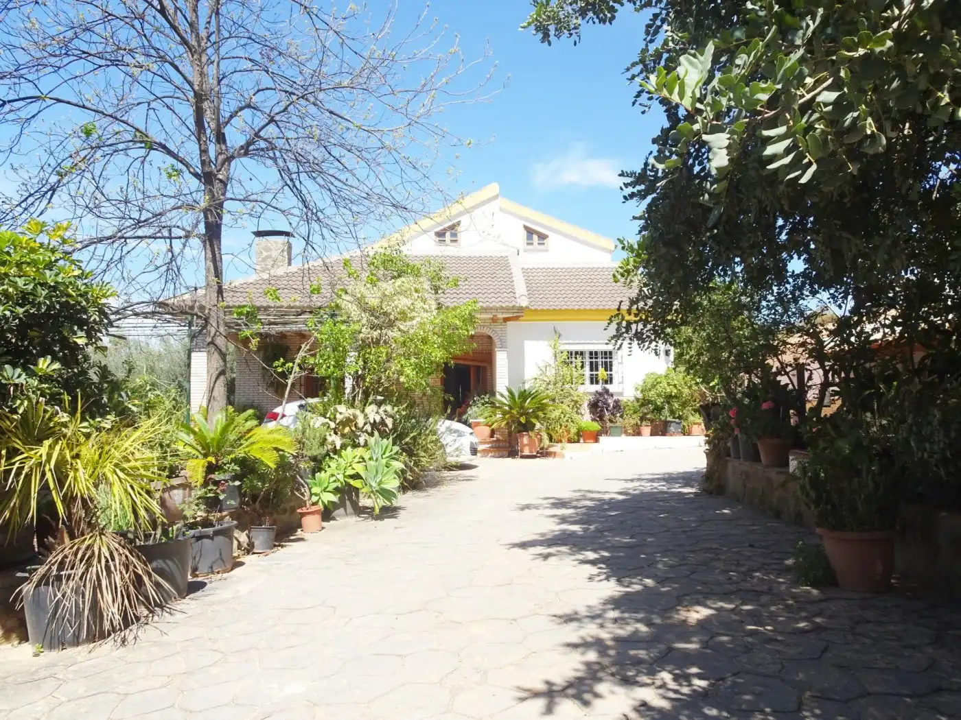 Casa con giardino in vendita a Puerto de la Torre - Atabal, imagen 2