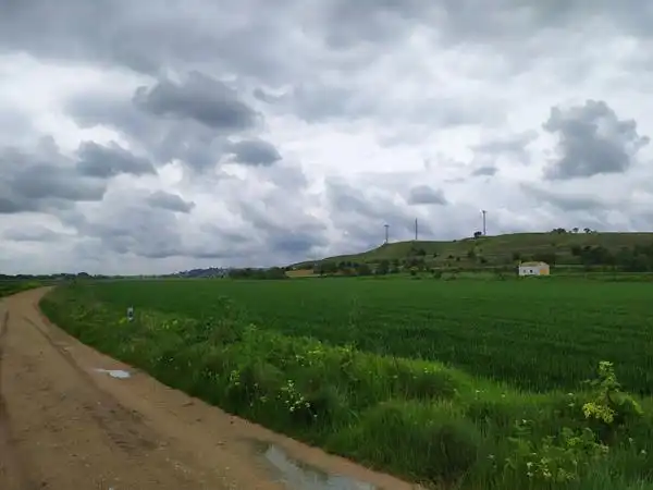 Rustikales Grundstück zum Verkauf in Sector 25, imagen 9