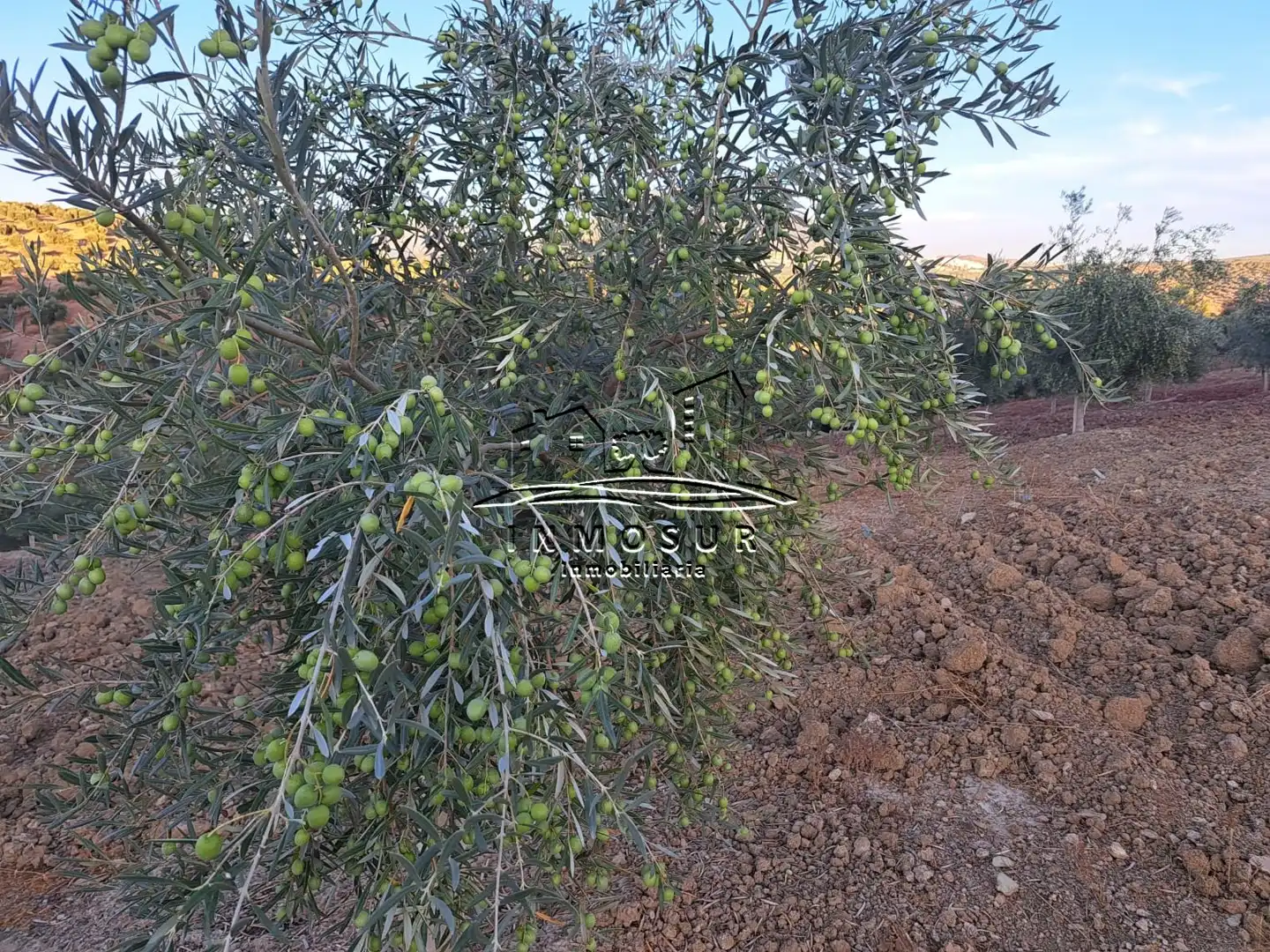 Terrain rustique à vendre à Las Vegas - Campoaras, imagen 5