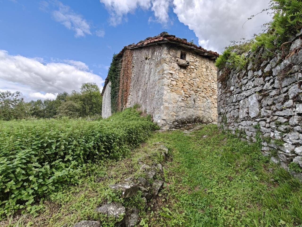 Vista exterior de Casa o xalet en venda en Trucios-Turtzioz amb Jardí privat