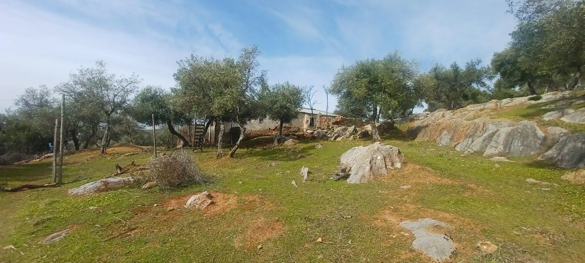Terreni e lotti in vendita a Constantina, imagen 11