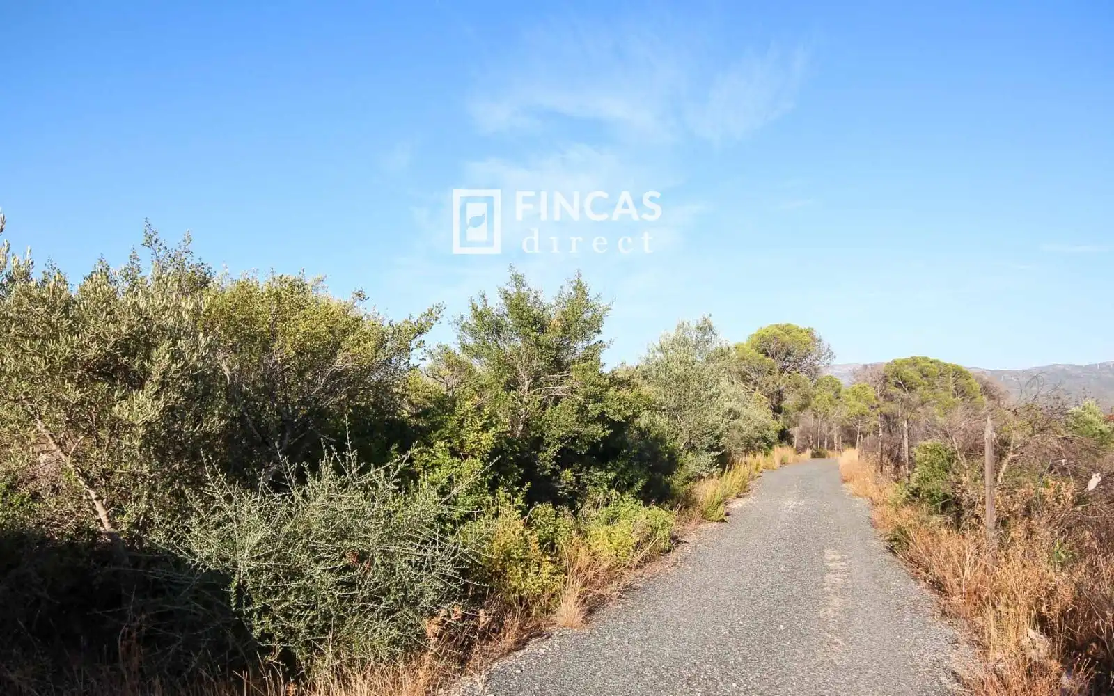 Country homes for sale in Xerta