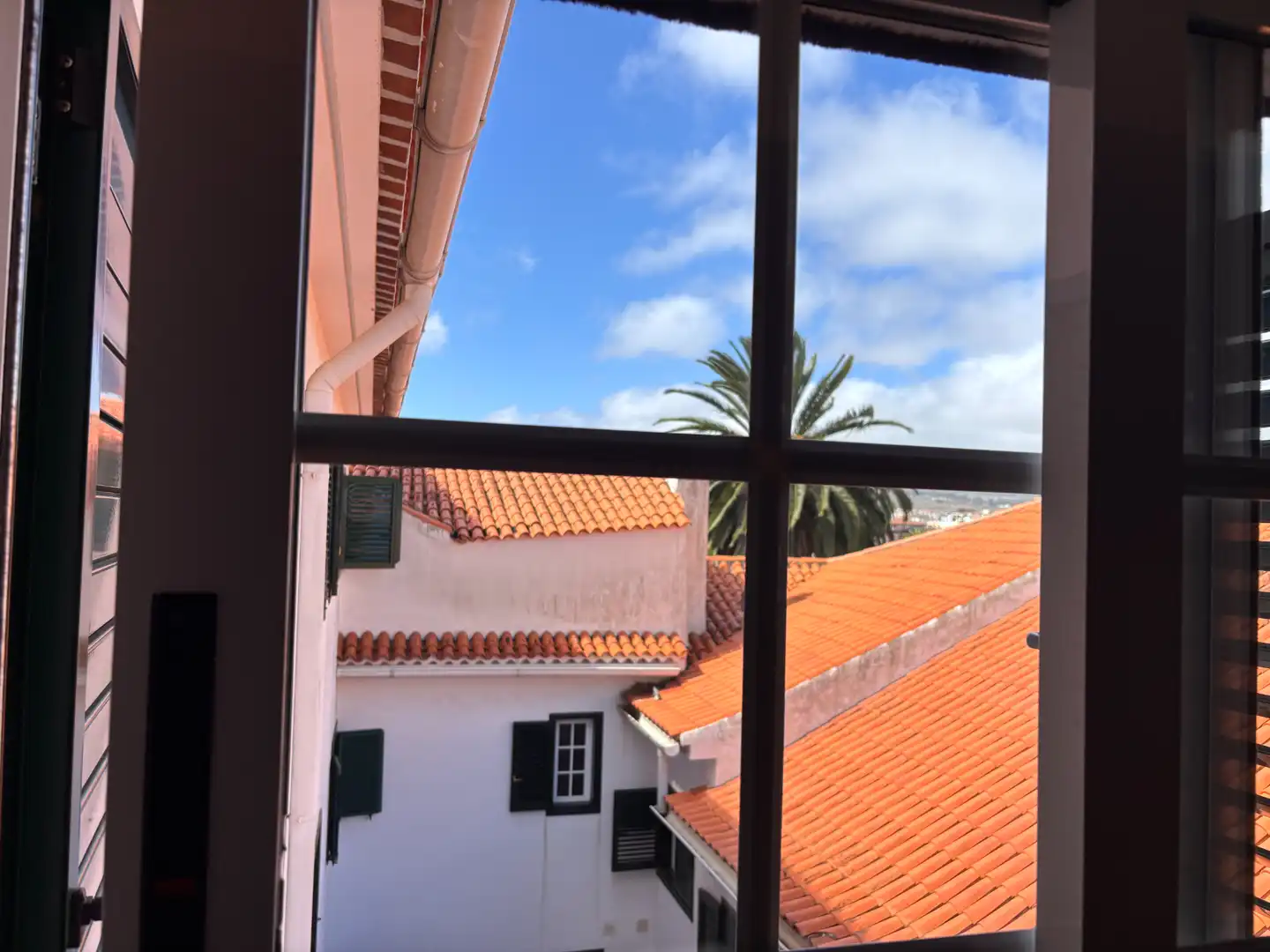 Detached homes for sale in La Laguna