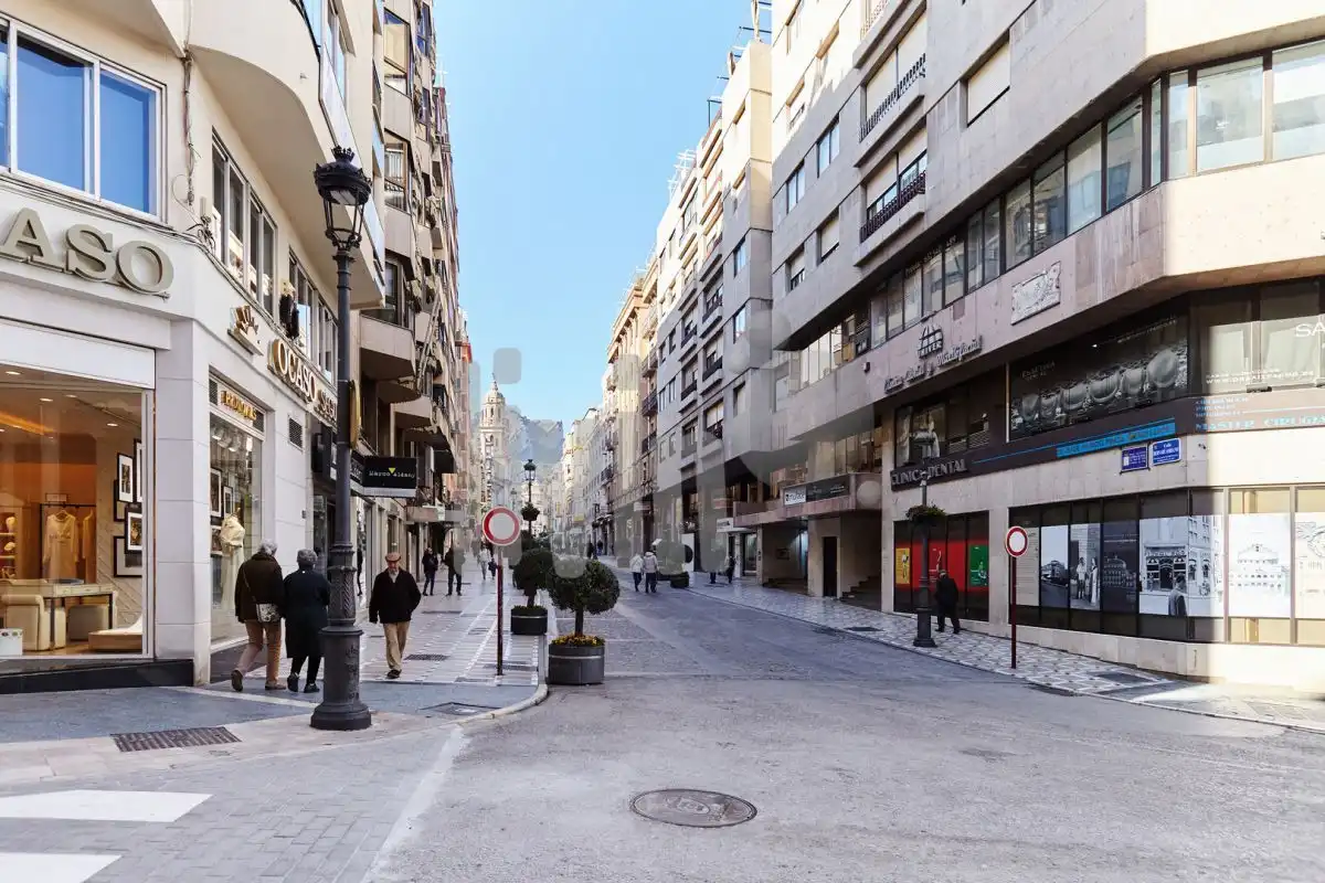Pis amb ascensor de lloguer a San Ildefonso - Catedral, imagen 33