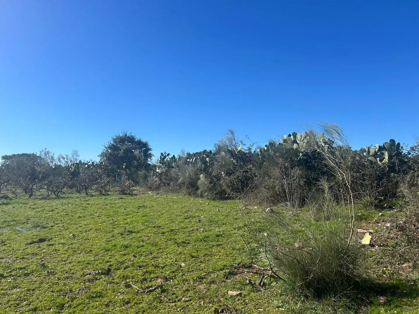 Terreni e lotti in vendita a Coria, imagen 23