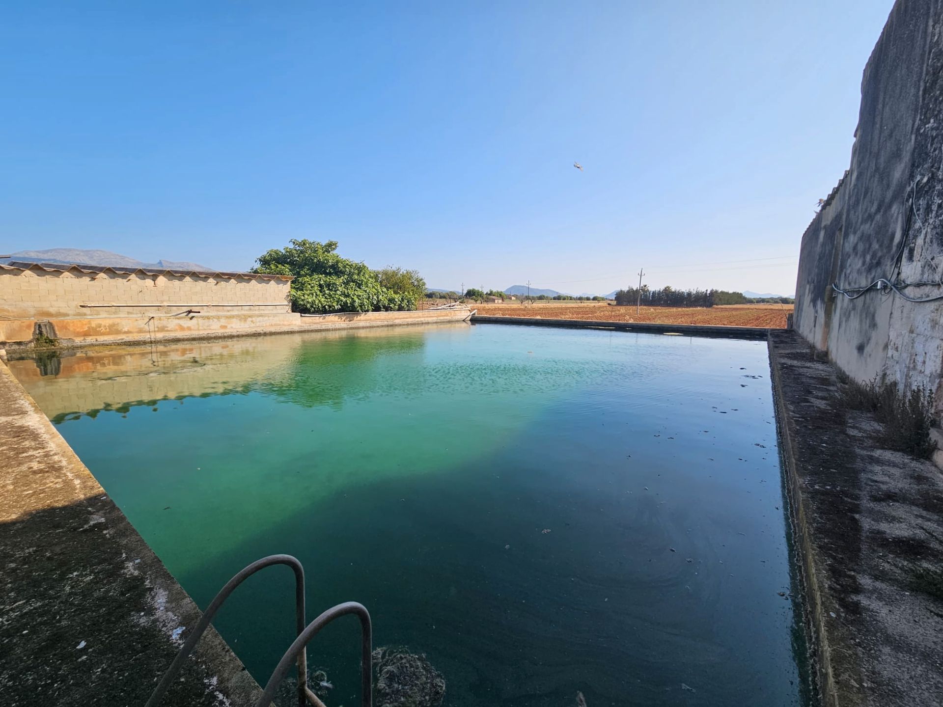 Piscina de Finca rústica en venda en Sa Pobla