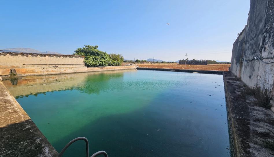 Photo 1 of Country house for sale in Carrer Ronda Nord, Sa Pobla, Illes Balears