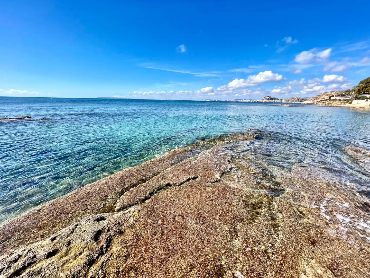 Chalet con piscina en venta en Playa de San Juan - El Cabo de las Huertas, imagen 75
