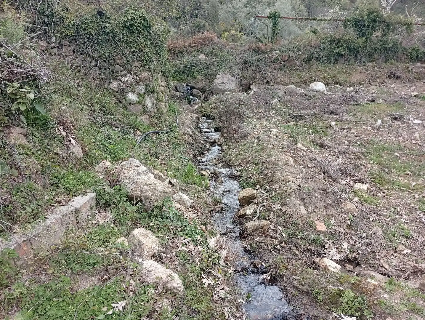 Terreni e lotti in vendita a Villanueva de la Vera, imagen 35