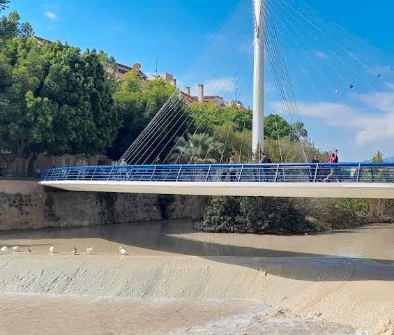 Exterior view of Garage to rent in  Murcia Capital