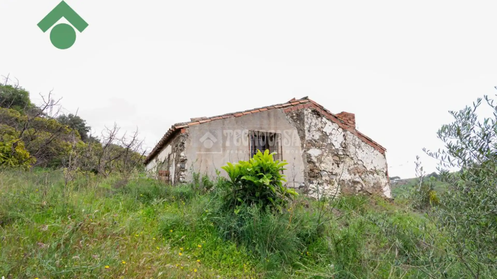 Finca rústica en venta en Frigiliana