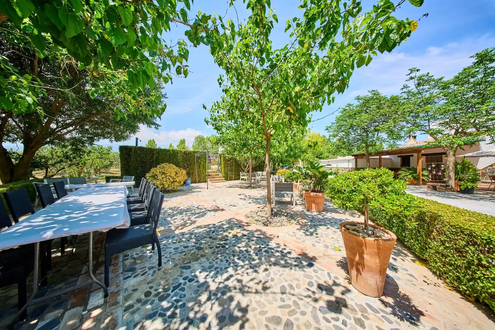 Terraza de Finca rústica en venta en Caniles