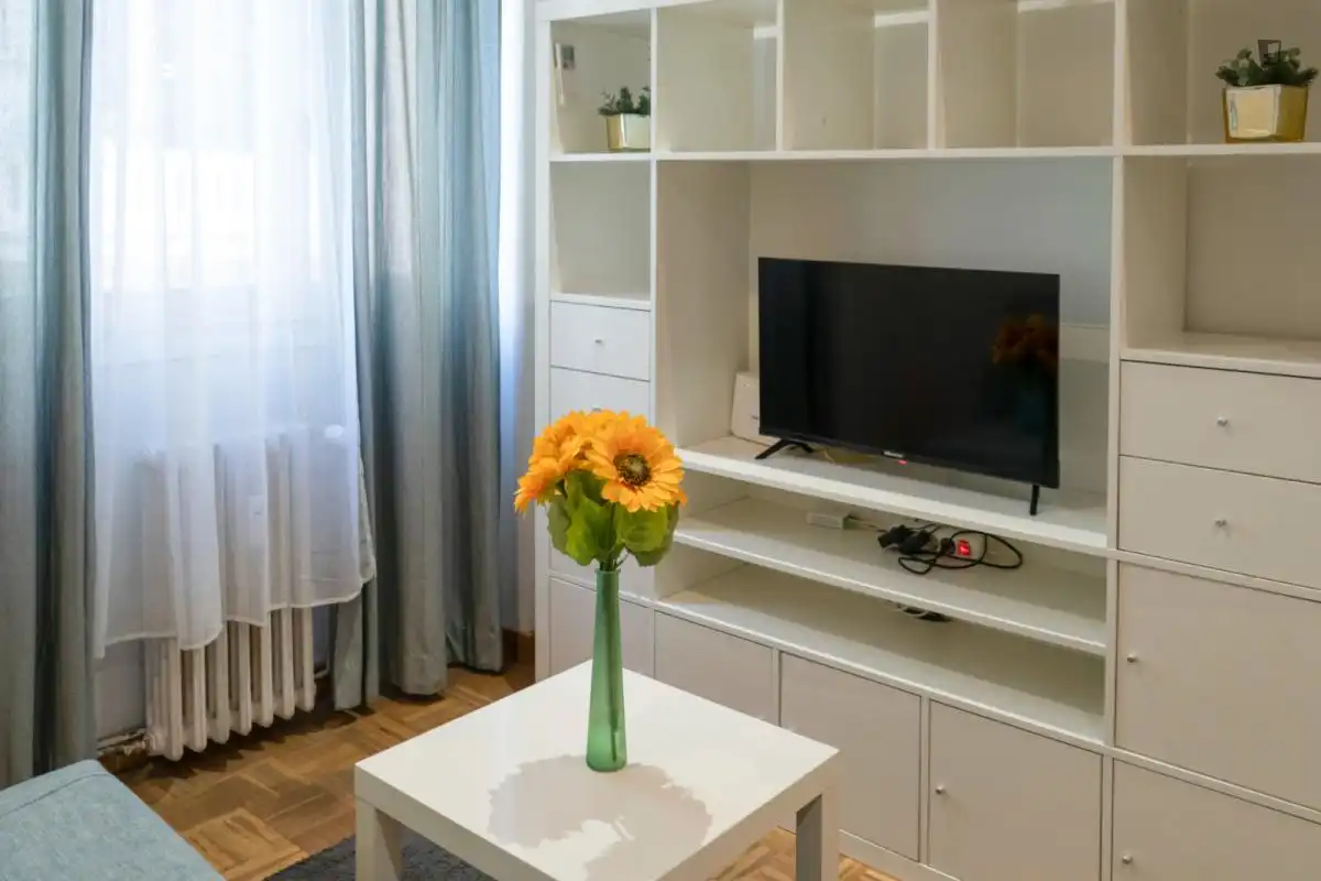 Sala de estar de Apartamento de alquiler en Madrid con Aire acondicionado, Amueblado y Horno