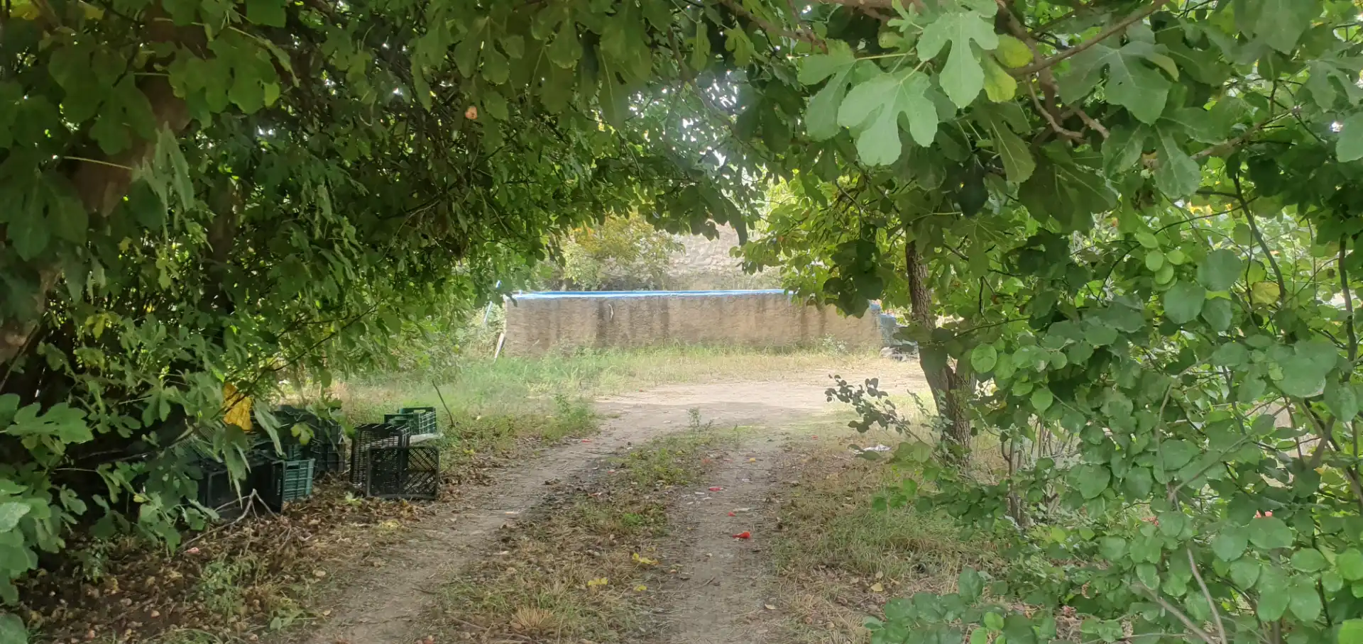 Rustikales Grundstück zum Verkauf in Carretera Benalúa 20, imagen 10
