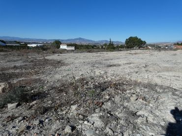 Terreno rustico in vendita a La Alcayna