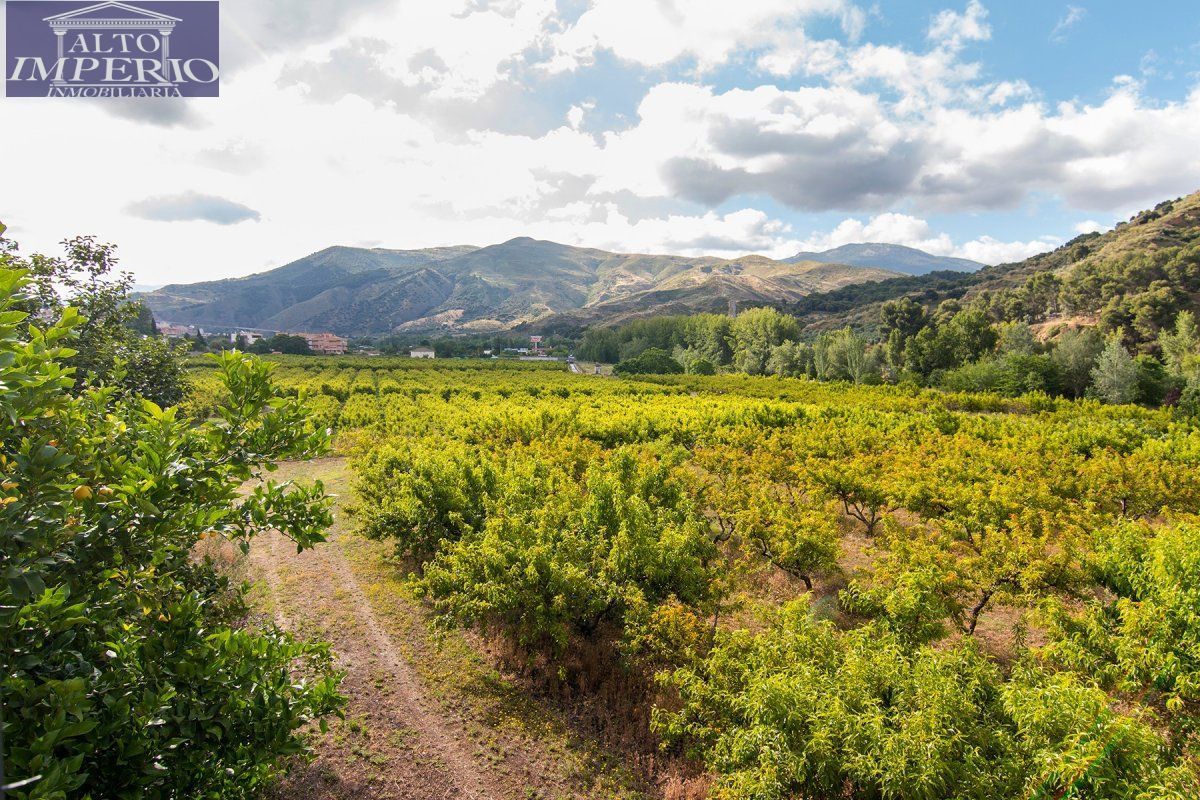 Vista exterior de Finca rústica en venda en  Granada Capital
