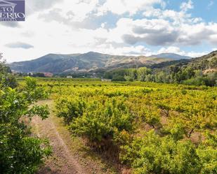 Vista exterior de Finca rústica en venda en  Granada Capital