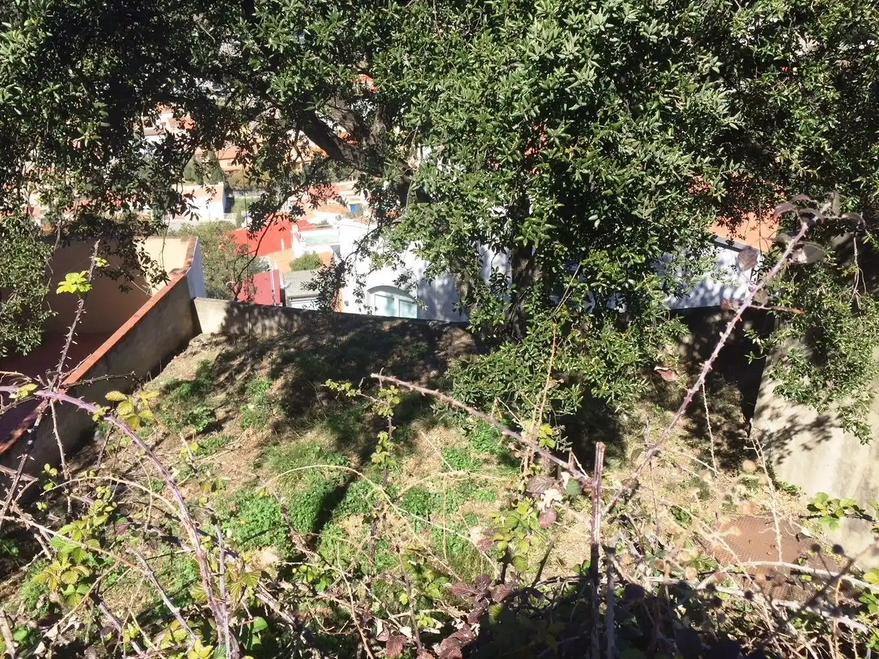 Terreny residencial en venda a Els Grecs - Mas Oliva, imagen 4