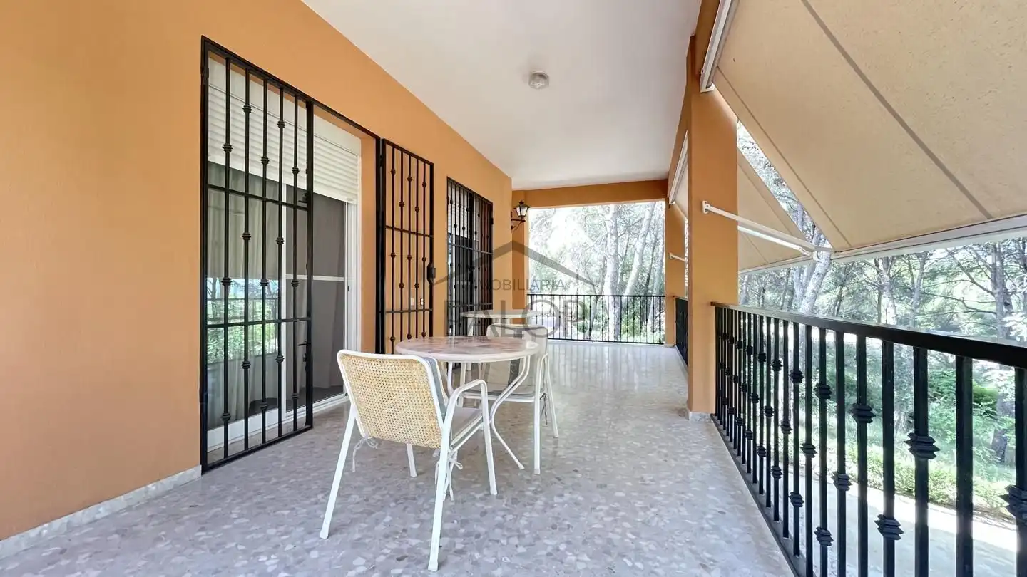 Terraza de Finca rústica en venta en Carcaixent con Jardín privado, Terraza y Trastero