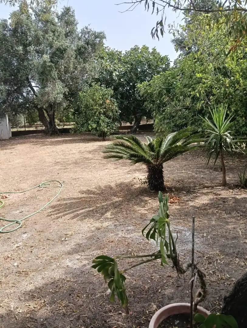 Detached house with garden for sale in Barrio Nuevo, imagen 21