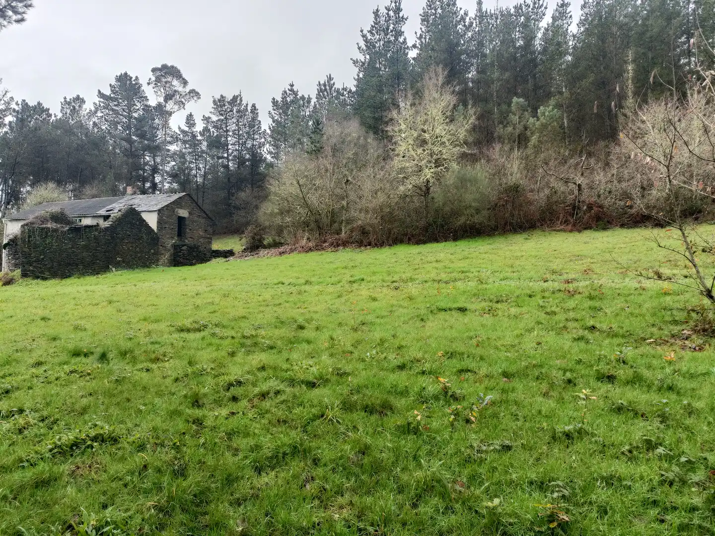 Casa o xalet en venda en Guitiriz amb Jardí privat