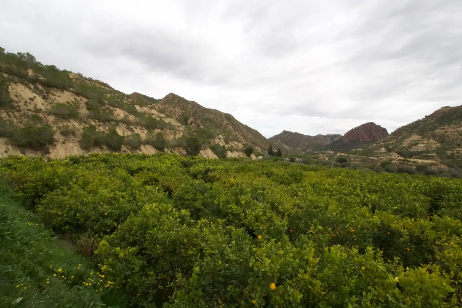 Residencial en venta en Algezares