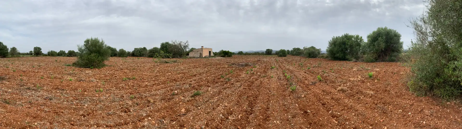 Terreno en venta en Felanitx