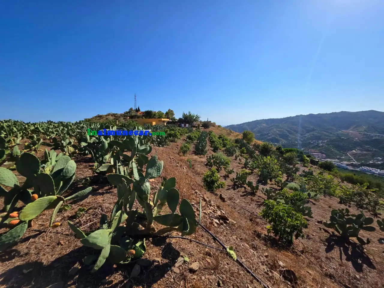 Terrenos y solares en venta en N/A, imagen 21