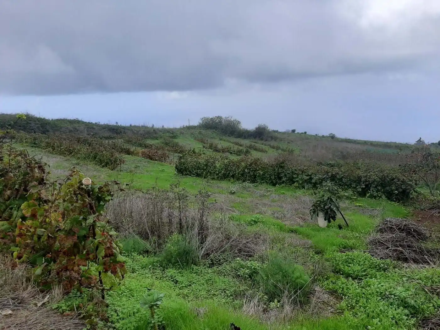 Terreny rústic en venda a CRUZ DE LEANDRO, imagen 21
