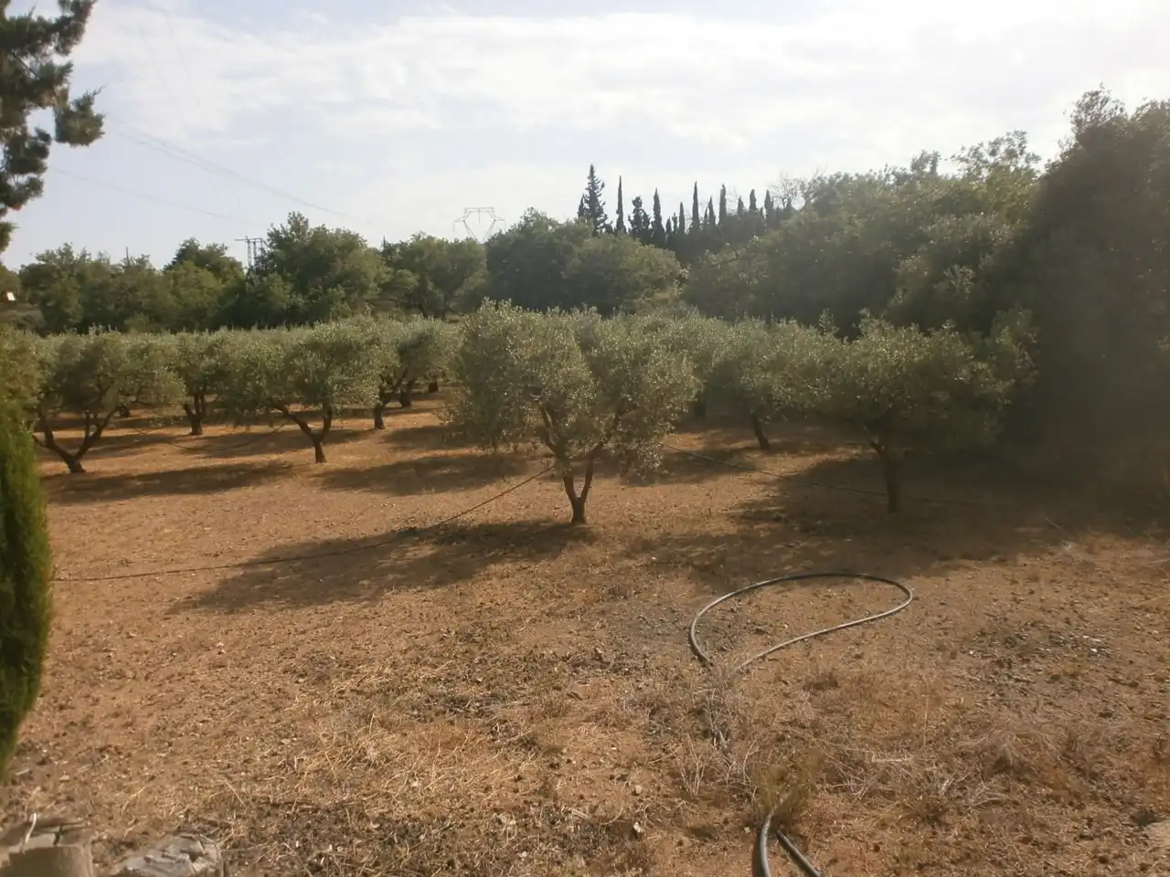 Land for sale in Vilanova d'Escornalbou