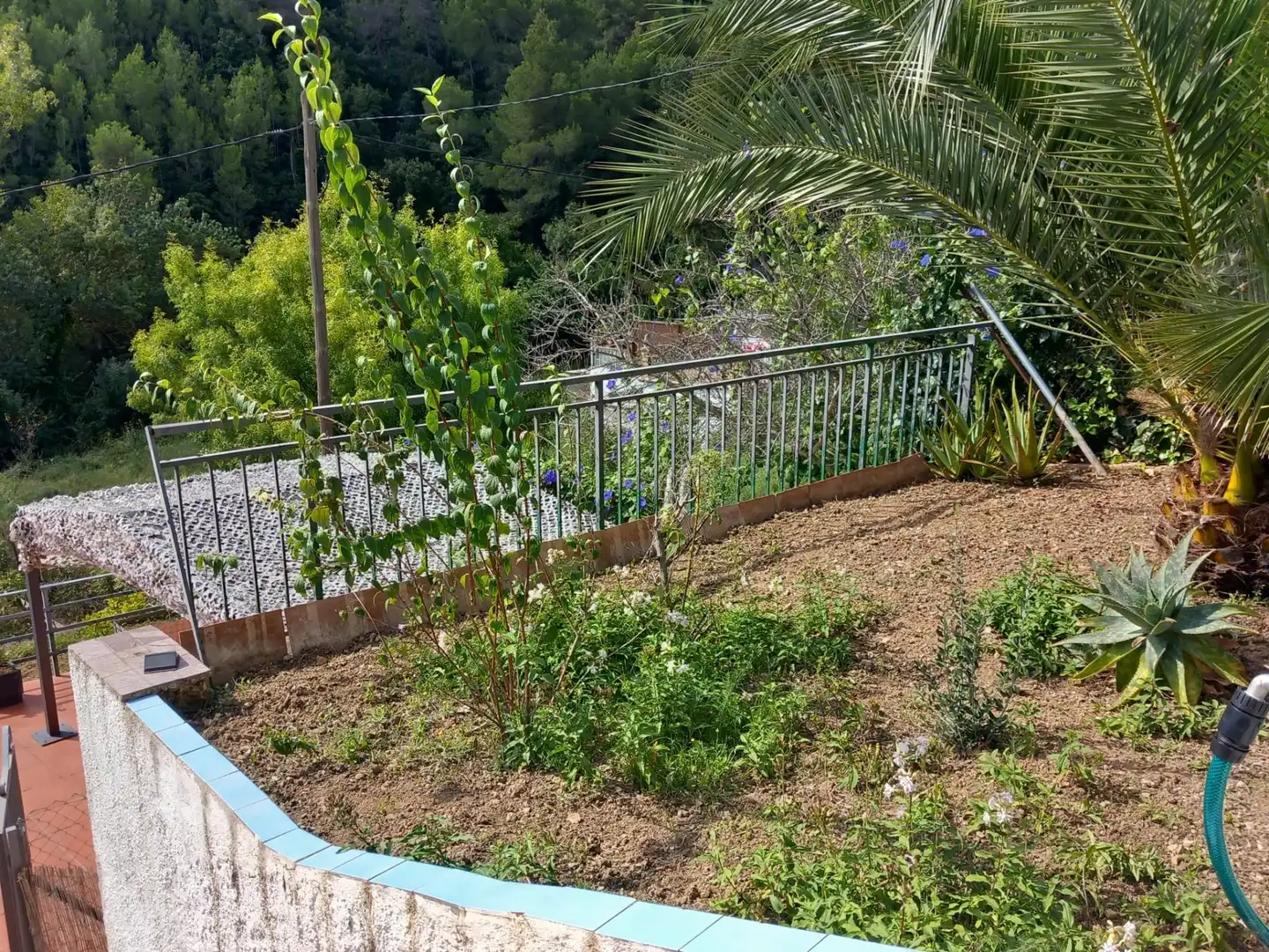 House with pool for sale in Torrelles de Foix, imagen 14