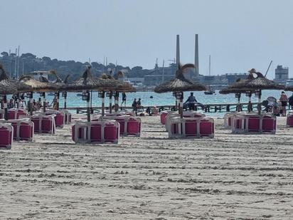 Planta baixa en venda en Alcúdia amb Jardí privat, Terrassa i Traster