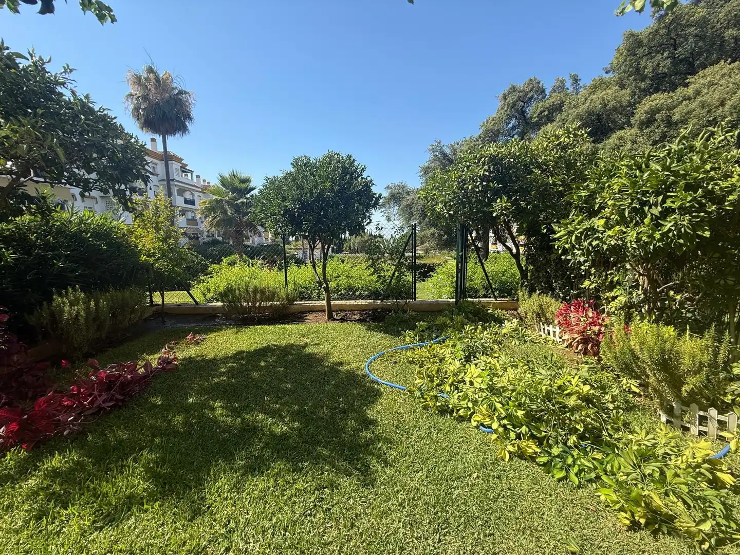 Jardí de Planta baixa de lloguer en Marbella amb Aire condicionat, Terrassa i Piscina