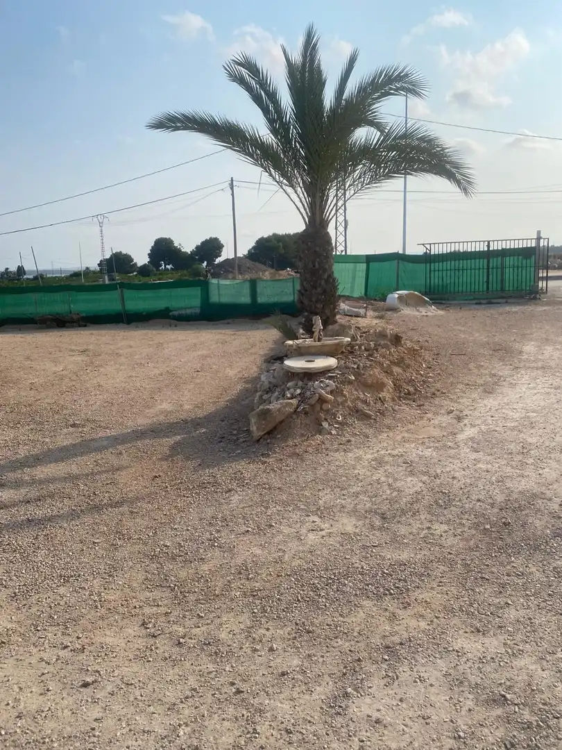 Country homes for sale in Guardamar del Segura