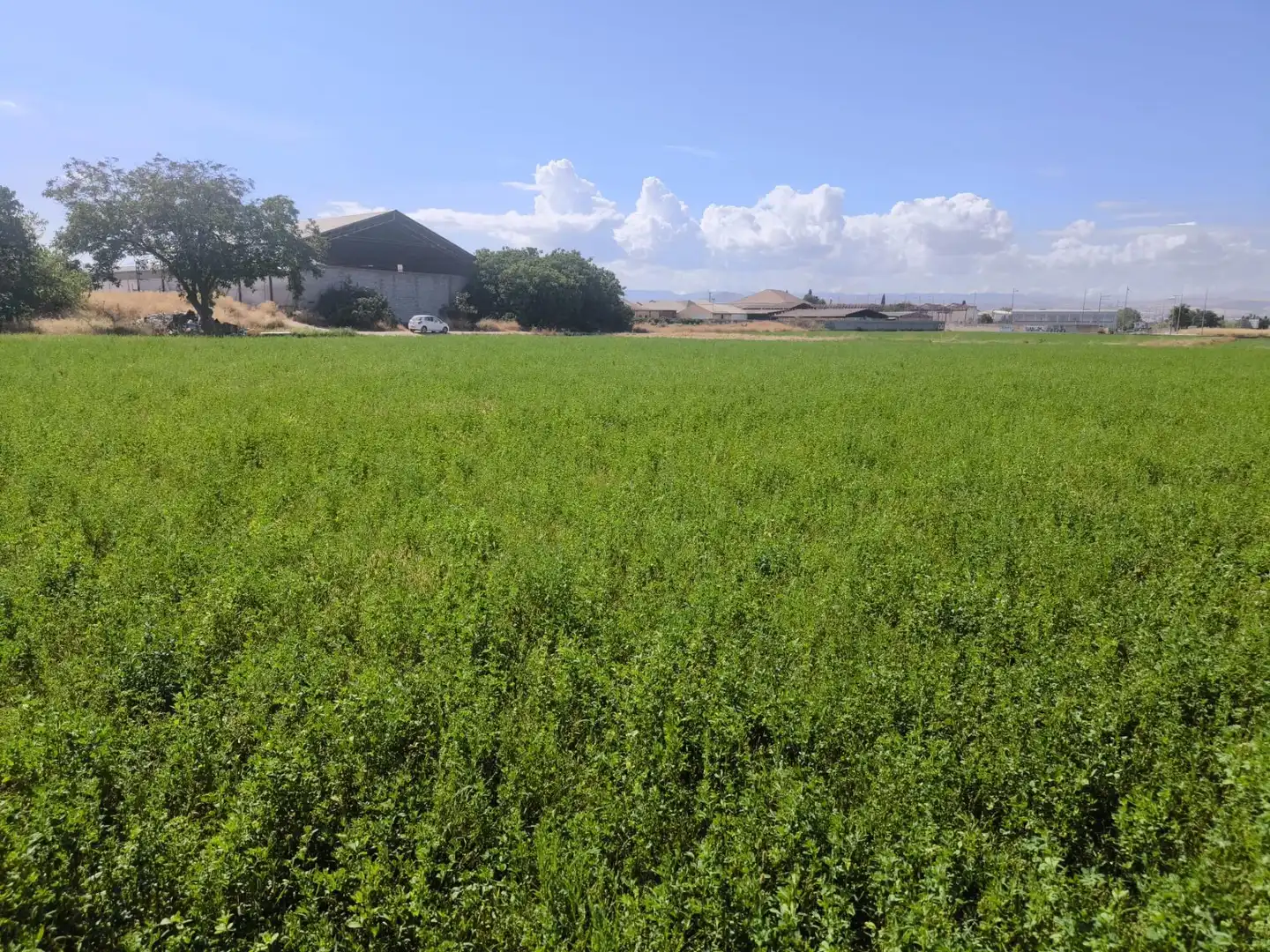 Industrial land for sale in Maracena, Granada