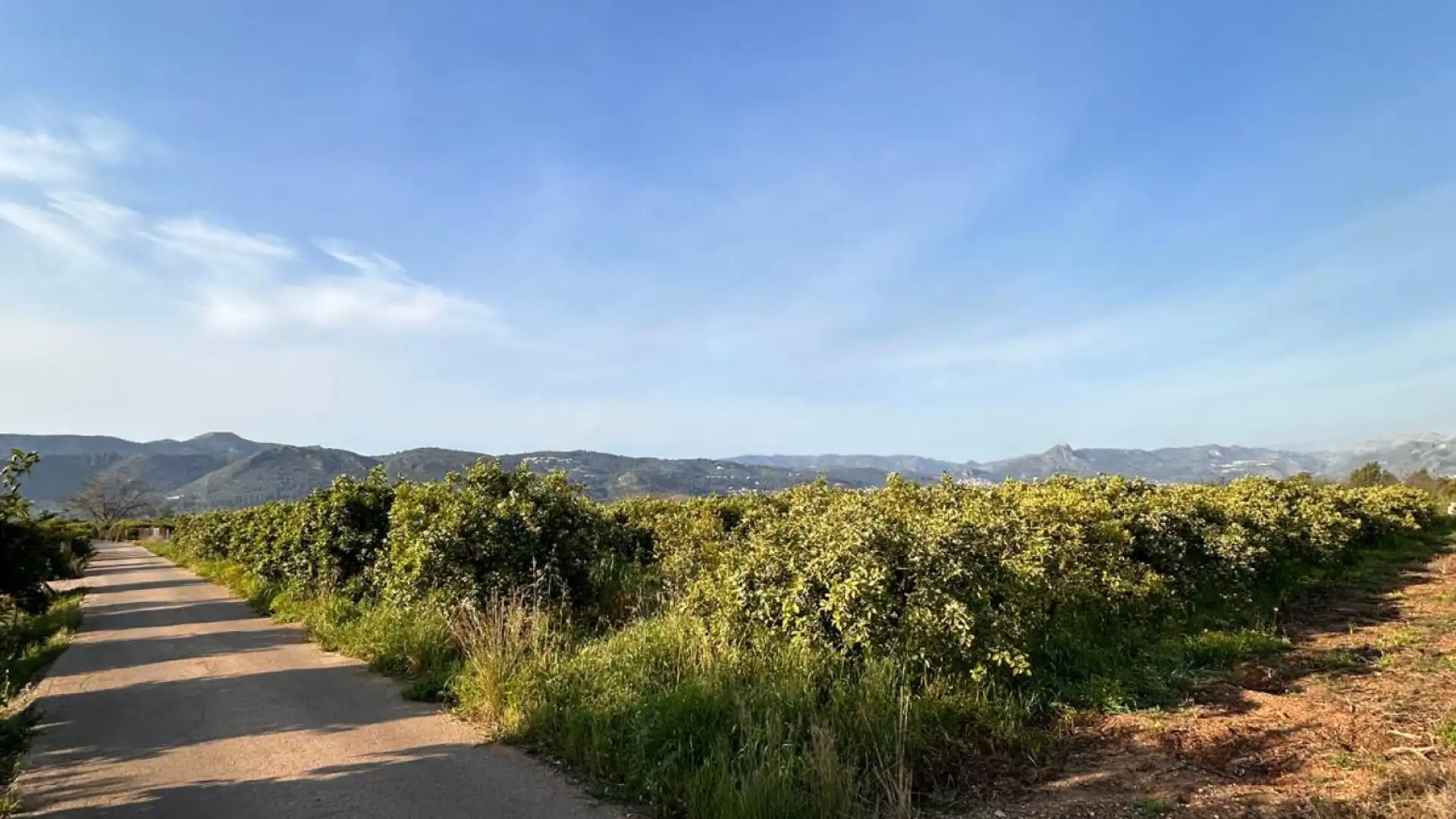 Residencial en venta en Beniarbeig