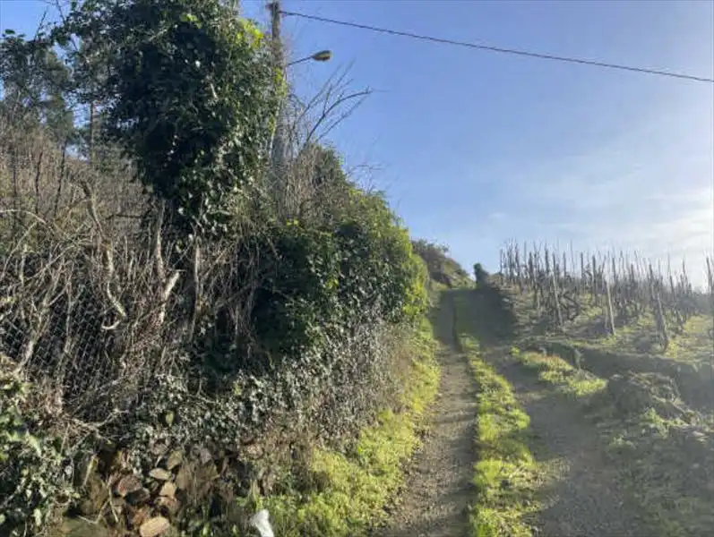 Residencial en venta en Castrelo de Miño