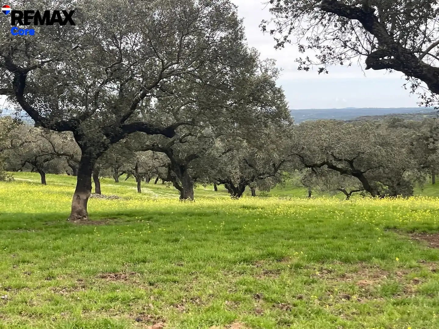 Terreni e lotti in vendita a Jerez de los Caballeros, imagen 14