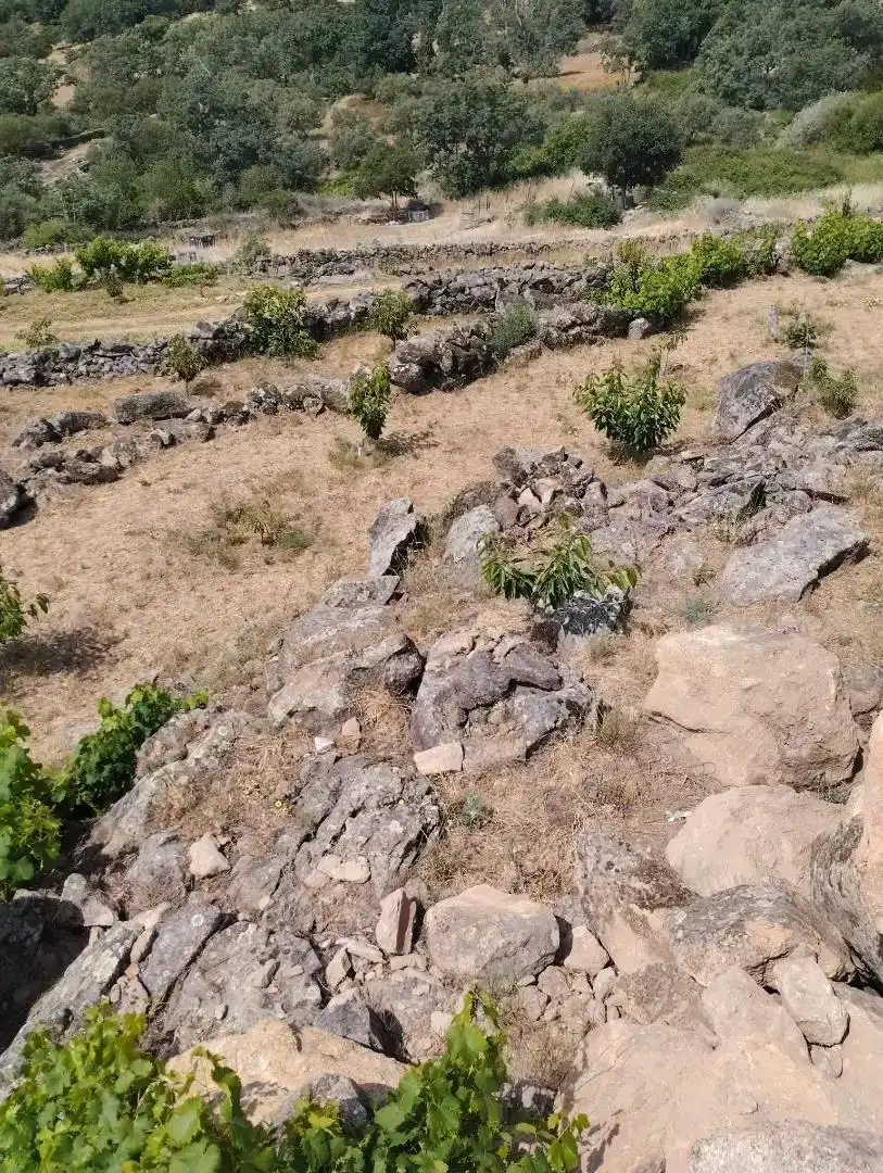 Finca rústica en venta en Pasarón de la Vera